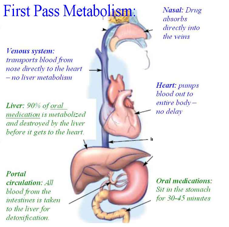 Diagram of first pass metabolism