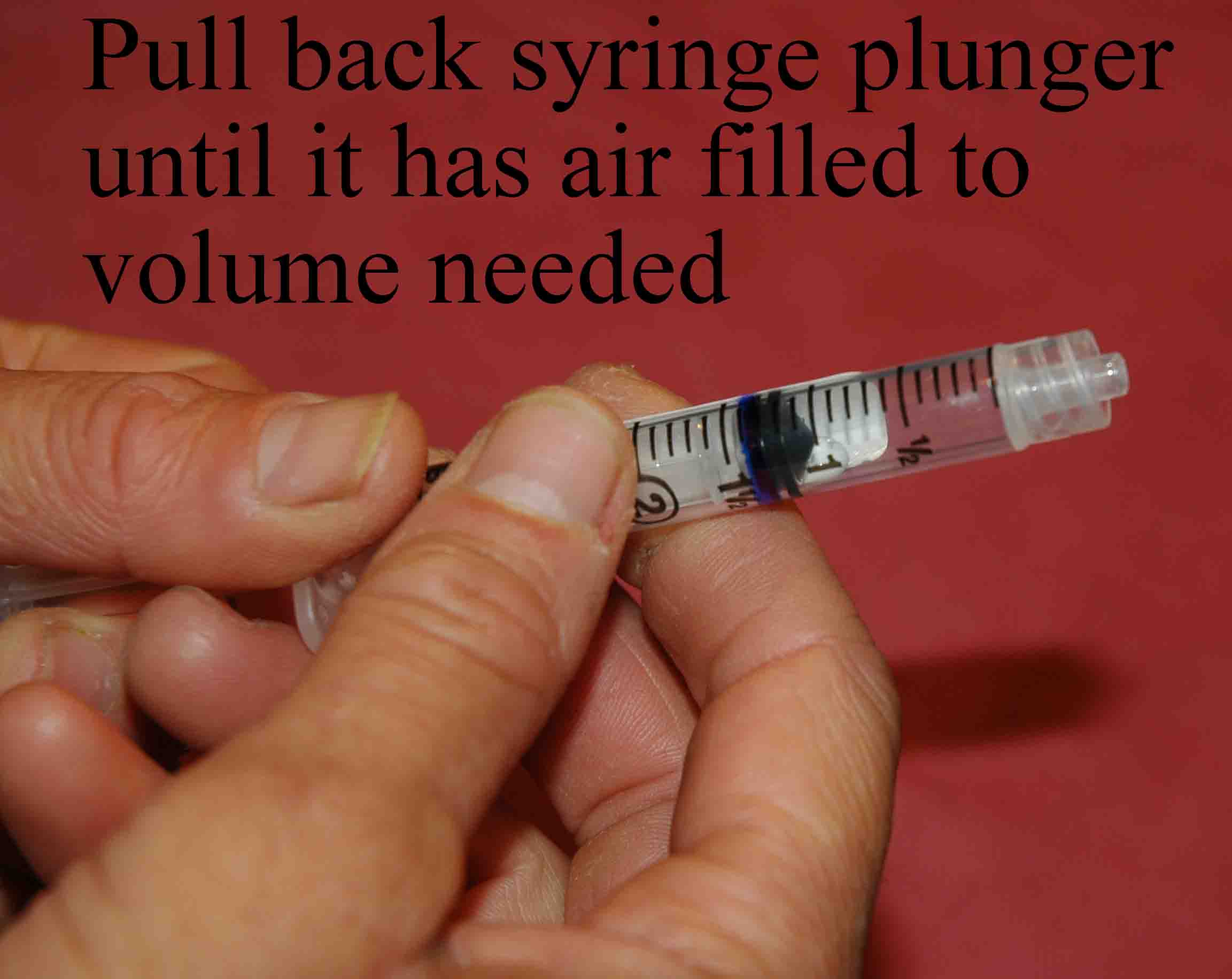 Syringe plunger pulled back to fill with air prior to connecting to the vial.